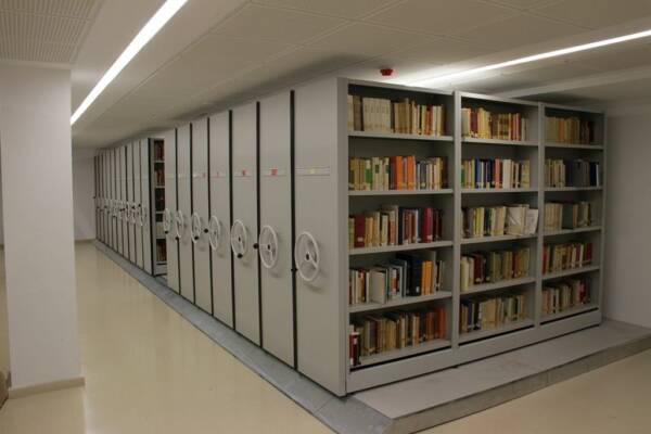 Archivo-movil-Dario-07-600x400